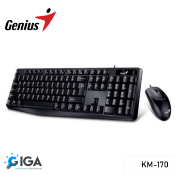 KIT TECLADO Y MOUSE GENIUS KM-170 USB