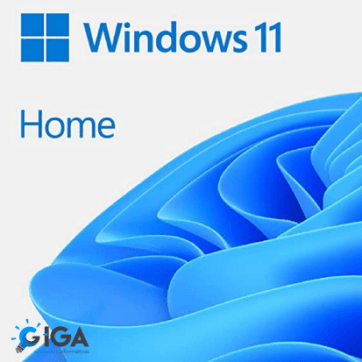 Microsoft Windows 11 Home ESD