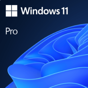 Microsoft Windows 11 PRO ESD